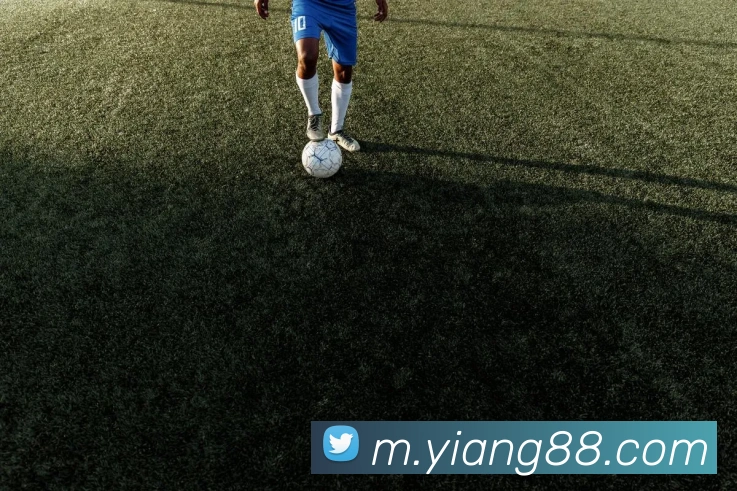 意昂体育平台生态图